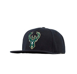 PRO STANDARD MILWAUKEE BUCKS HAT