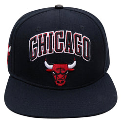 PRO STANDARD BULLS HAT