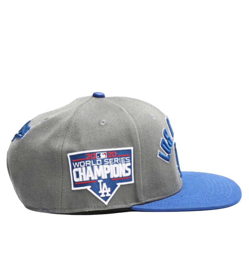 PRO STANDARD LA DODGERS HAT