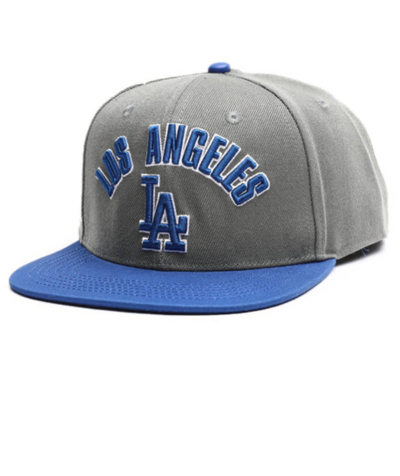 PRO STANDARD LA DODGERS HAT