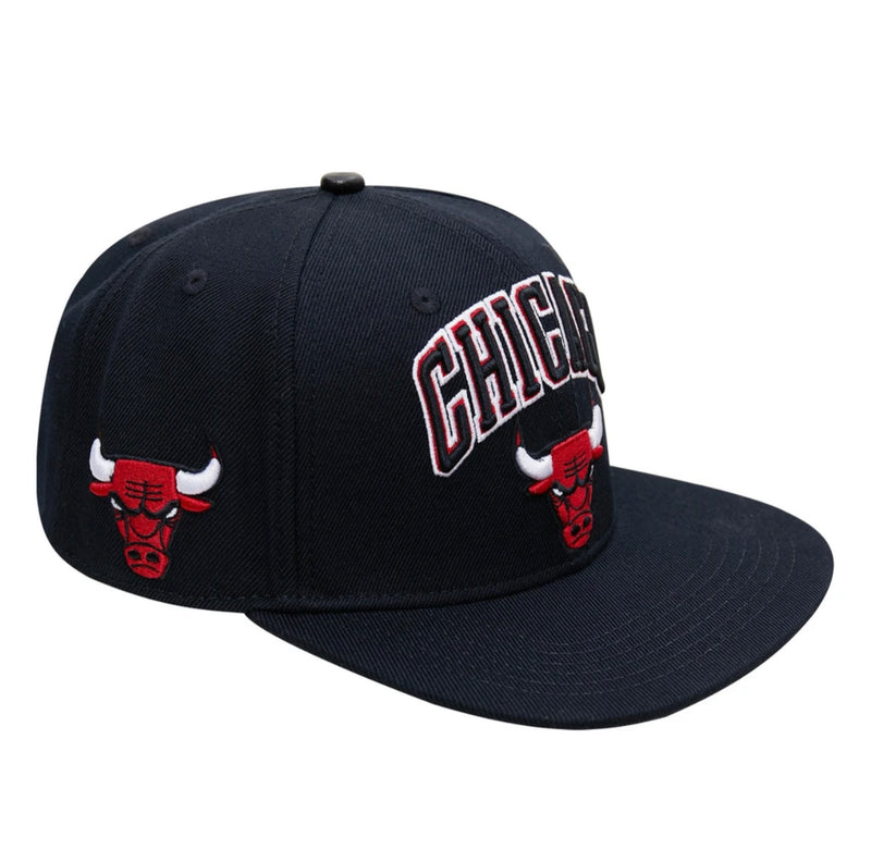 PRO STANDARD BULLS HAT