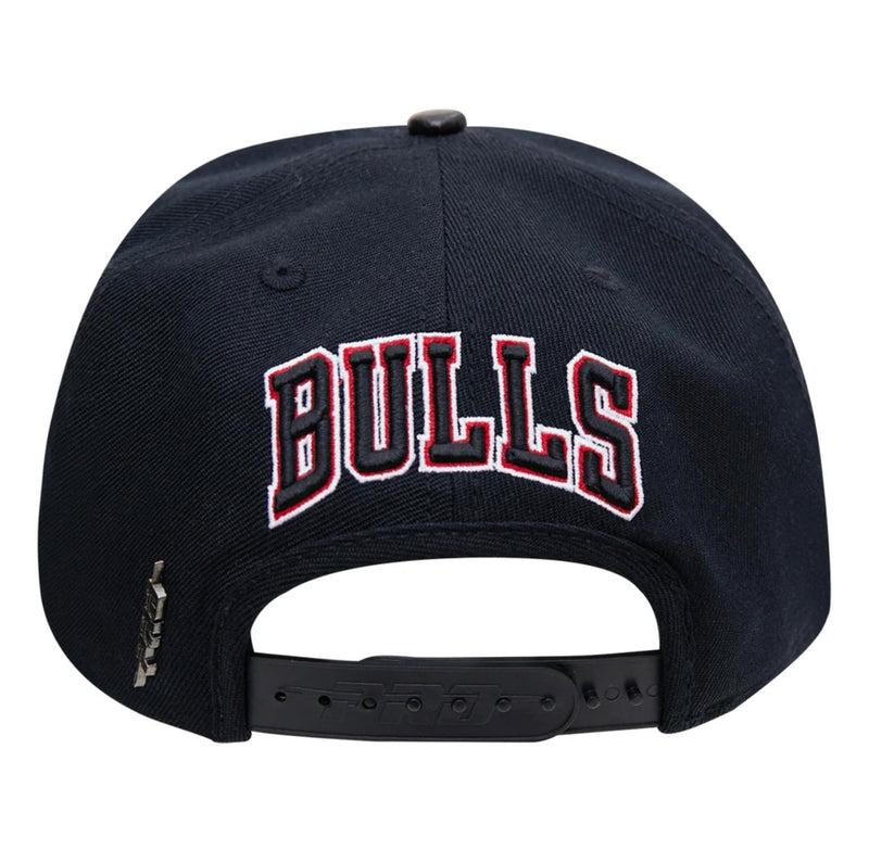 PRO STANDARD BULLS HAT